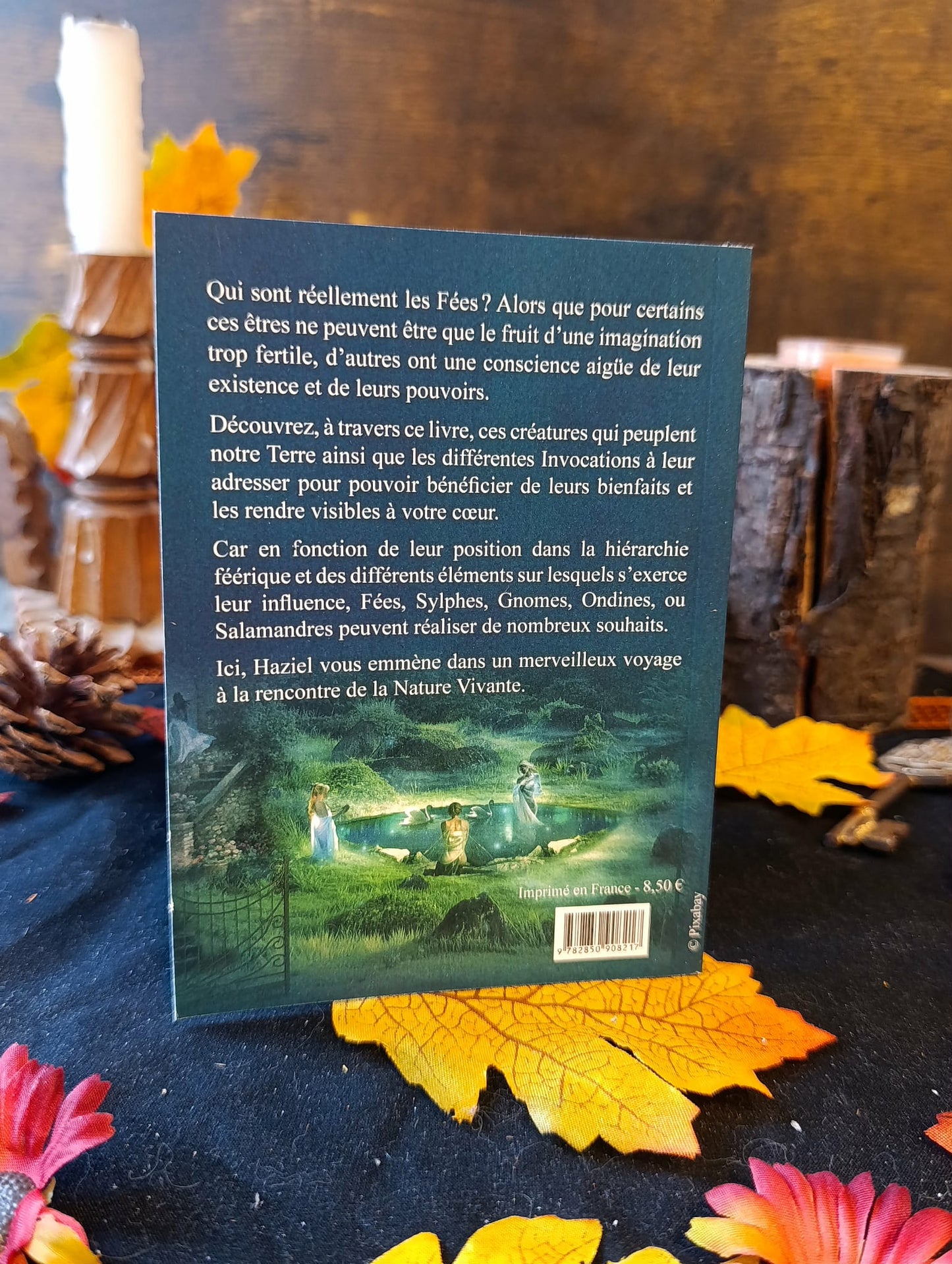 Le livre des fées : sylphes, gnomes, ondines, salamandres,...