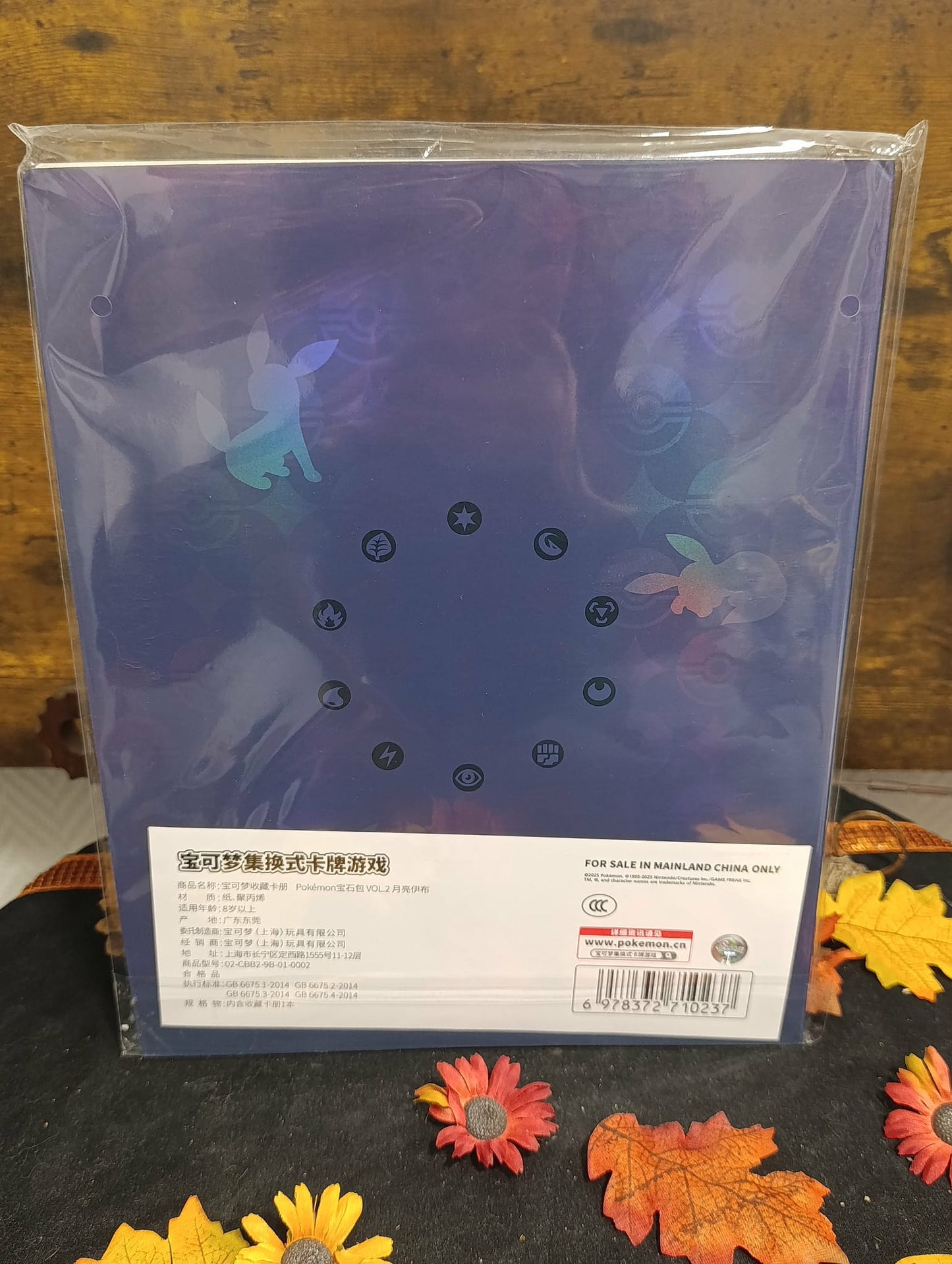 Portfolio Noctali pokémon