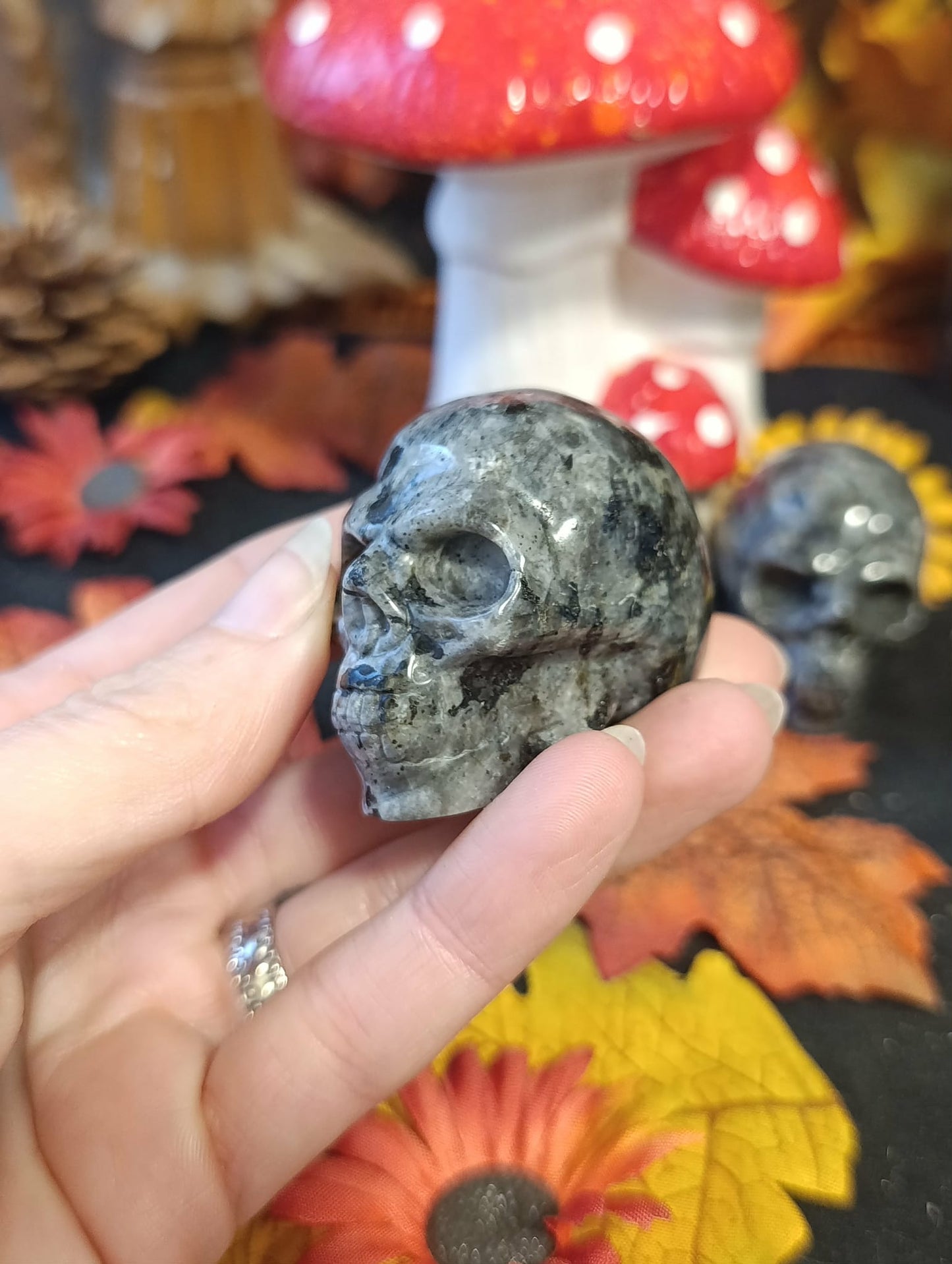 Crâne pierre Larvikite