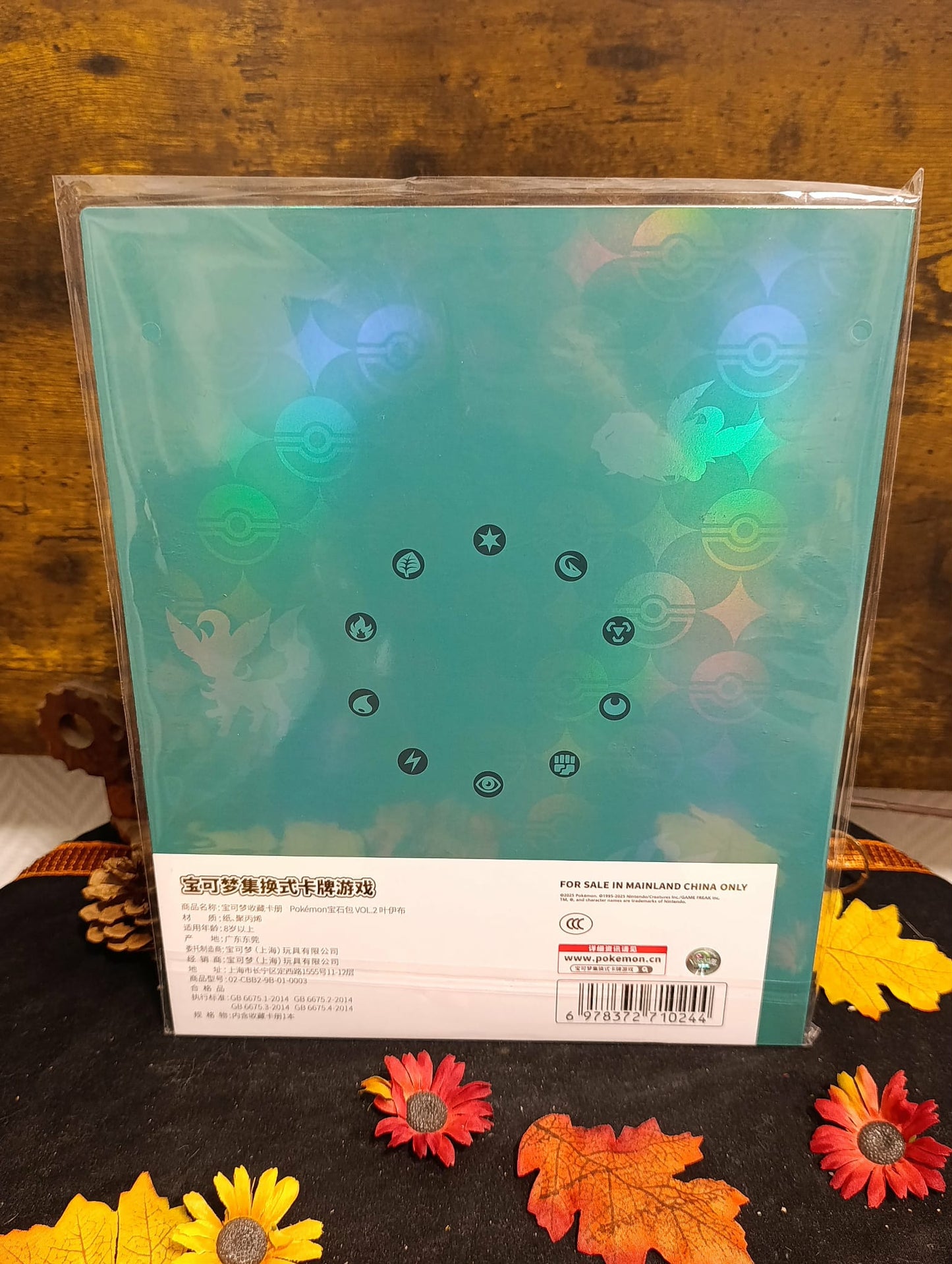 Portfolio Phyllali pokémon