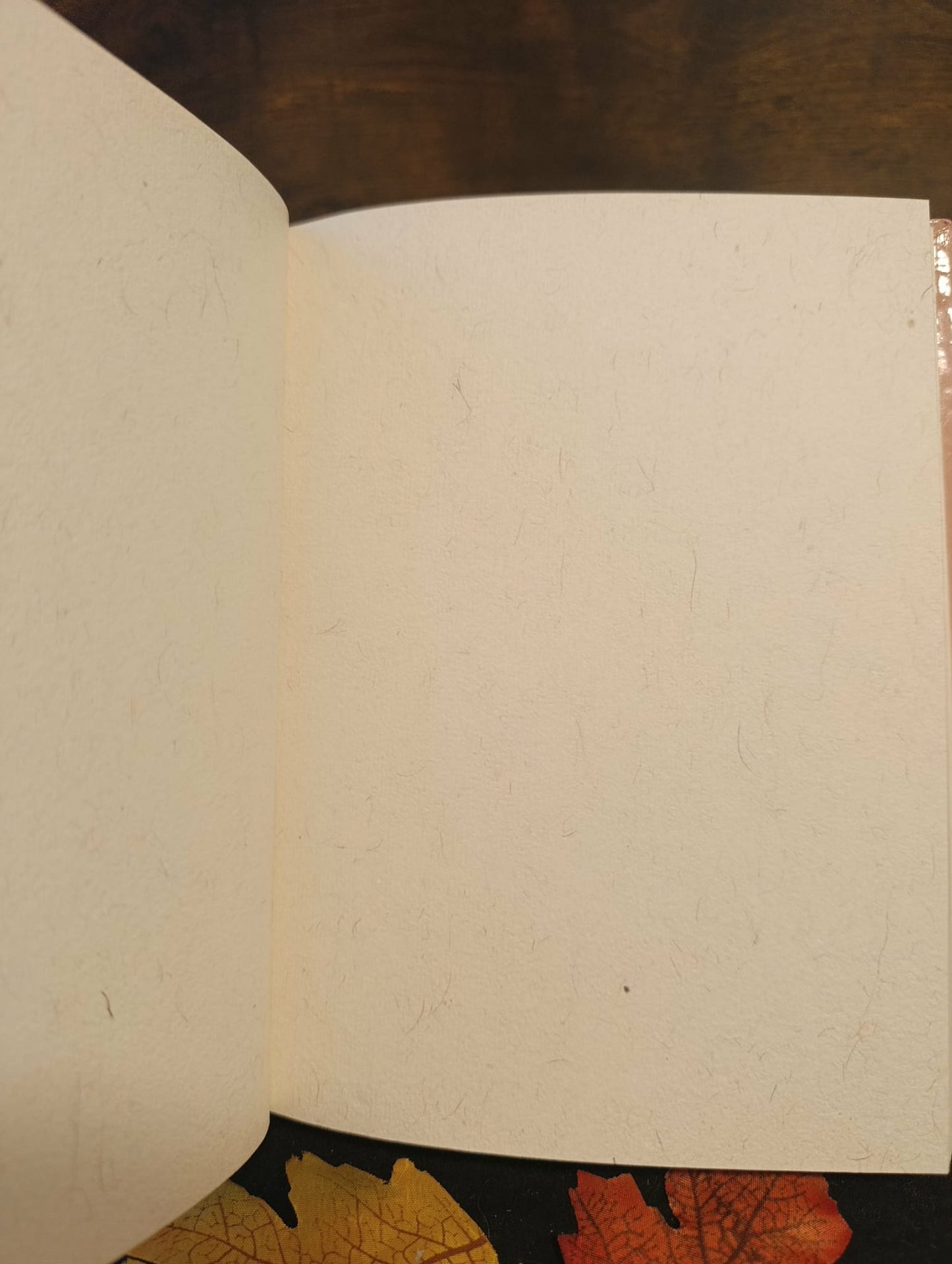 Carnet grimoire lune rose