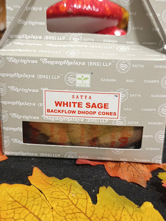 Satya Cône à refoulement Sauge blanche