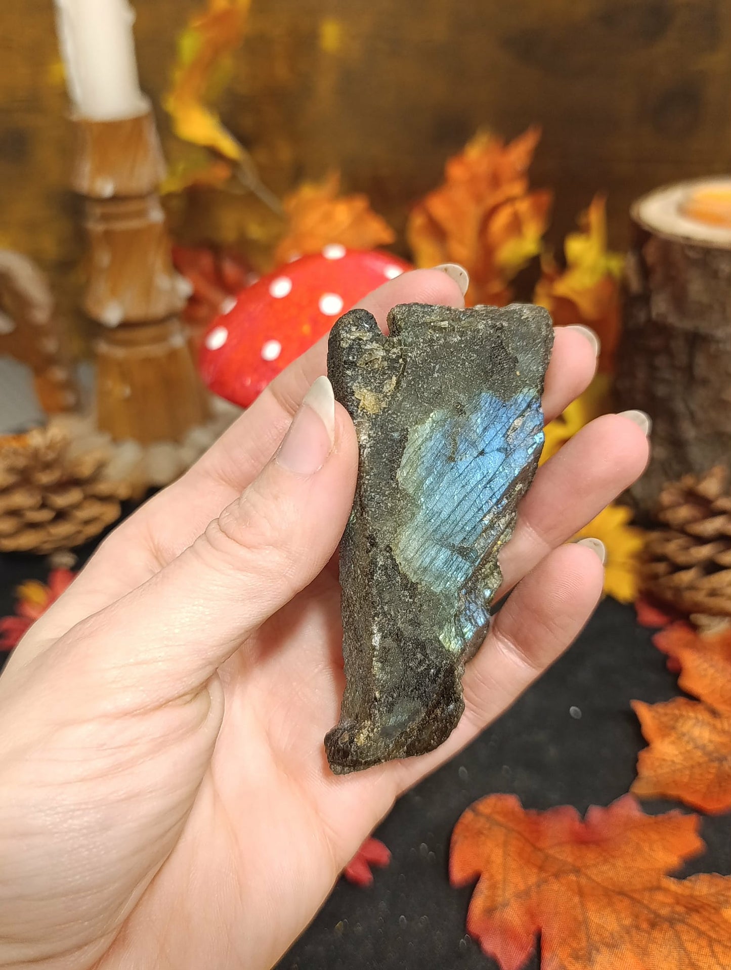 Labradorite brute face polie