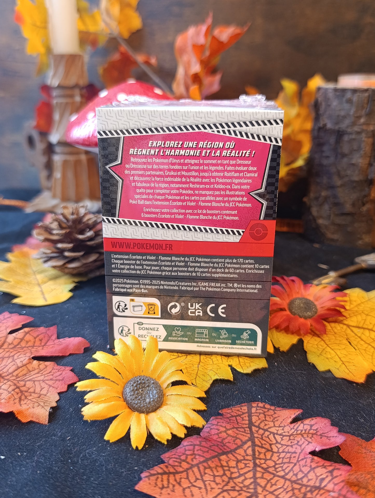 Bundle EV10.5 flamme blanche