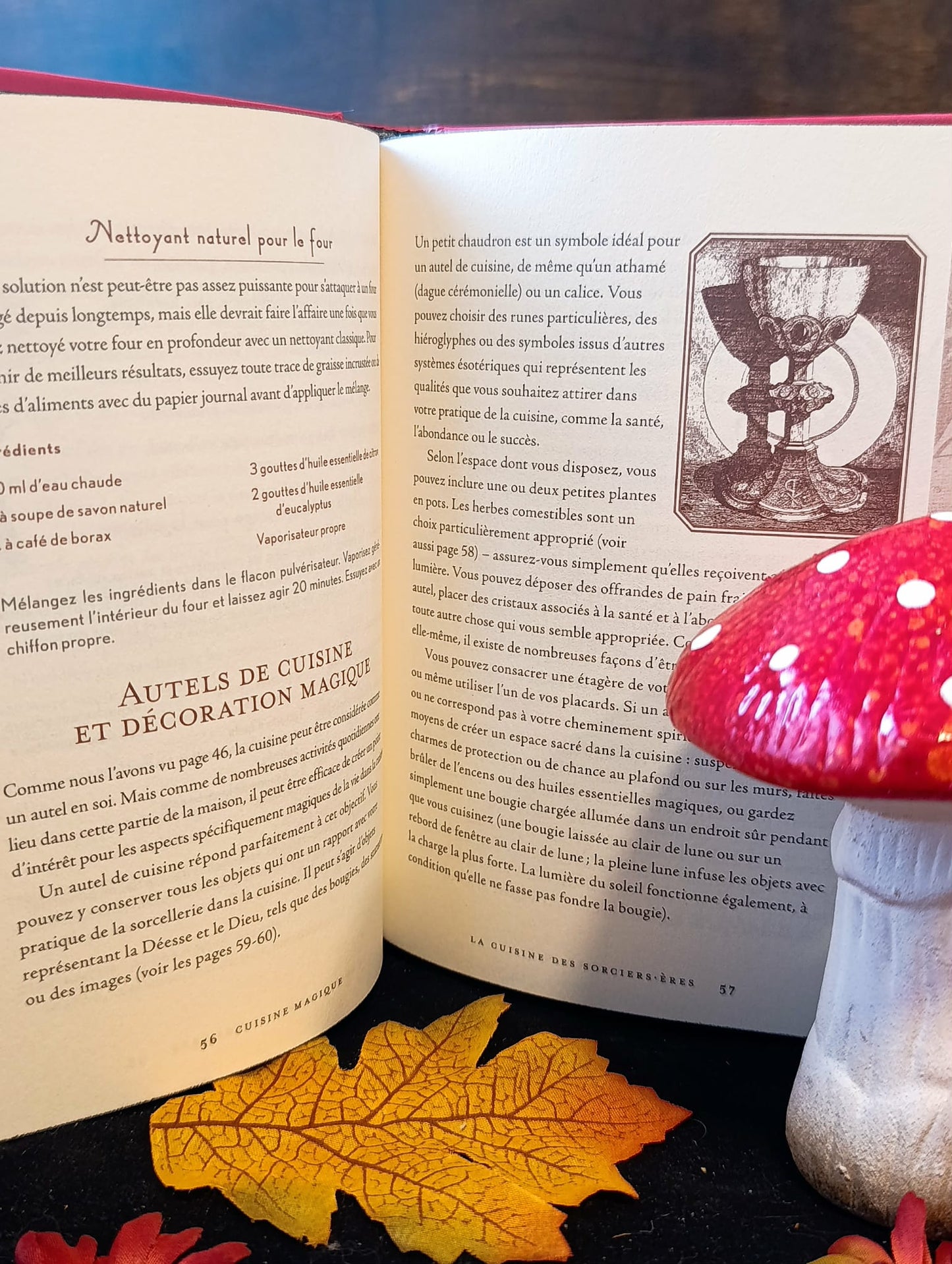 Cuisine Magique Le Guide Complet des Ingrédients et Recettes