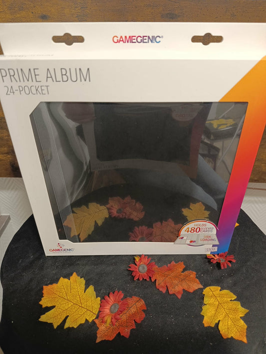 Album noir 480 cartes