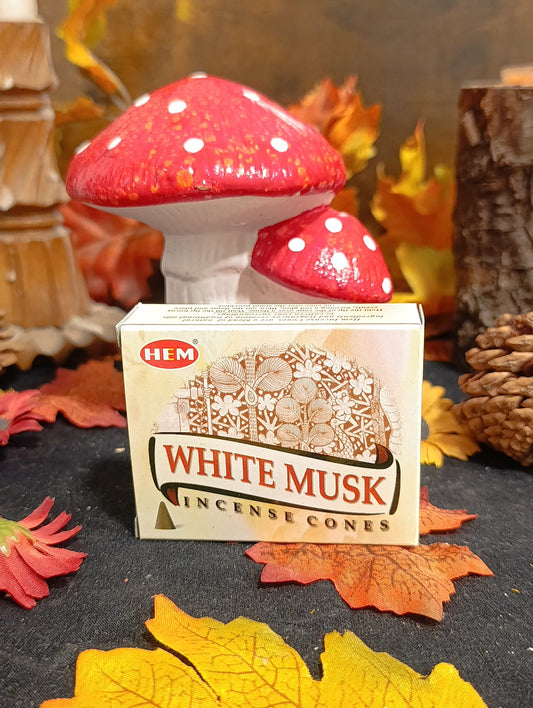 Hem Encens cône Musk blanc