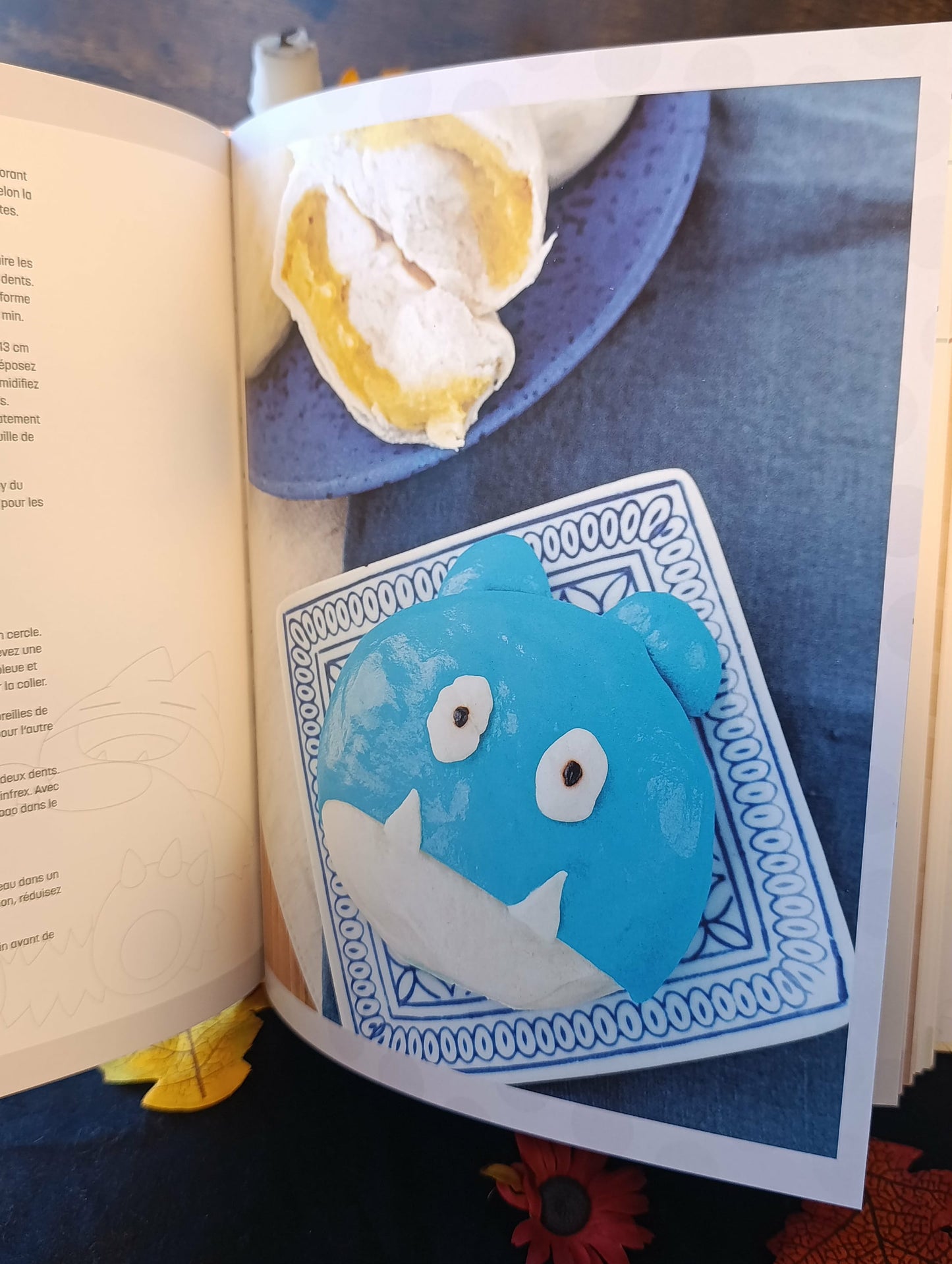 Livre de recettes Pokémon