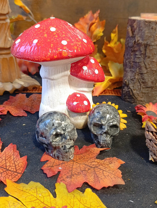 Crâne pierre Larvikite