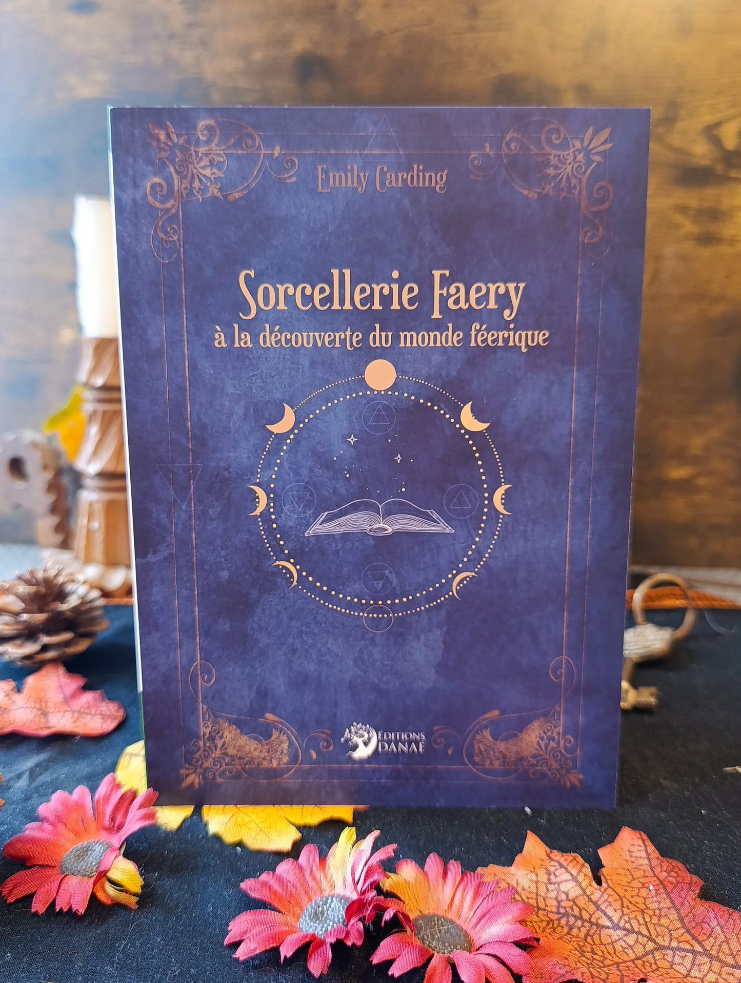 Sorcellerie Fairy à la découverte du monde féerique