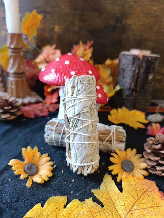 Bâton de fumigation Sauge Cannelle