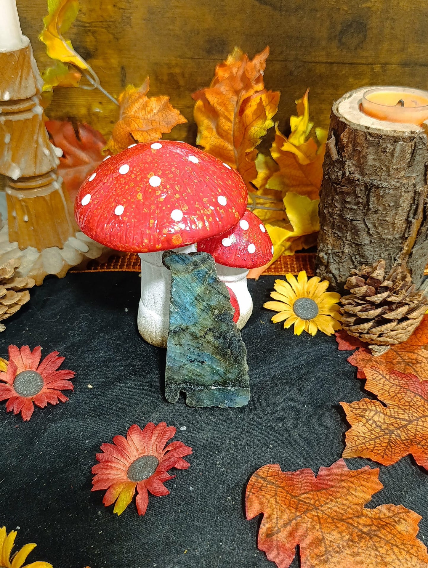 Labradorite brute face polie