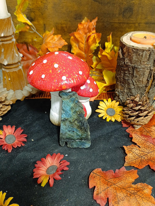 Labradorite brute face polie