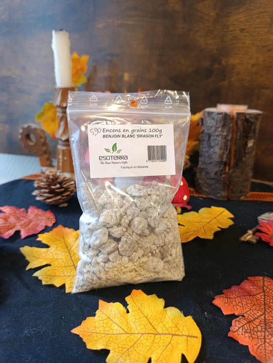 Encens en grain Benjoin blanc "dragon fly"