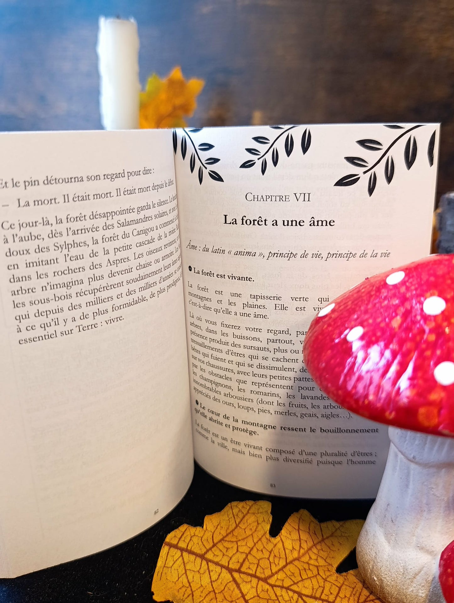 Le livre des fées : sylphes, gnomes, ondines, salamandres,...