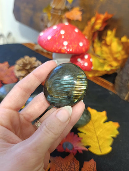 Galet Labradorite