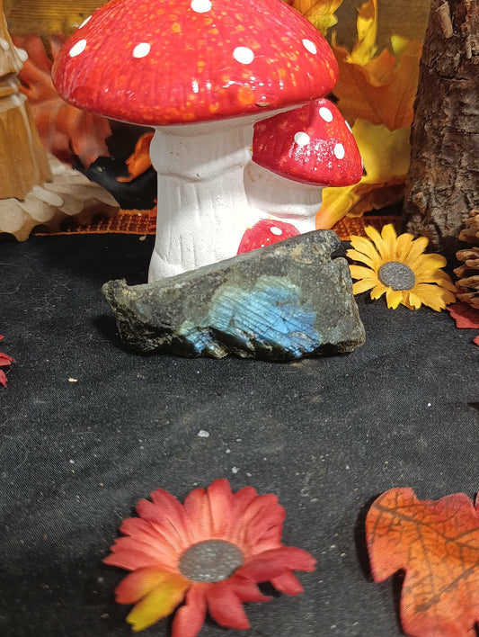Labradorite brute face polie