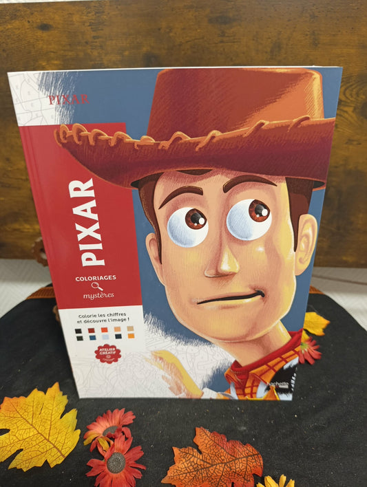 Pixar Disney Coloriages mystères