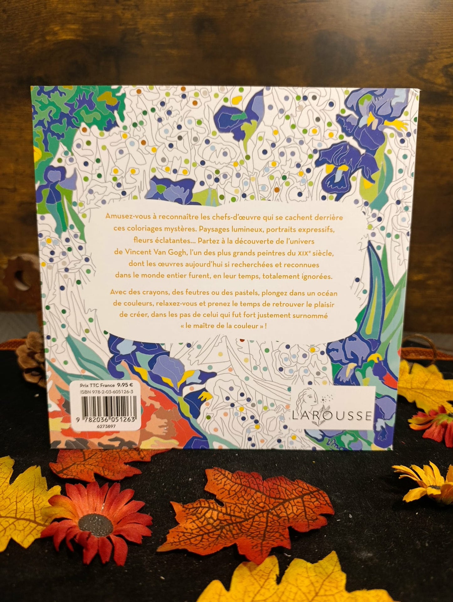 Van Gogh coloriages mystères