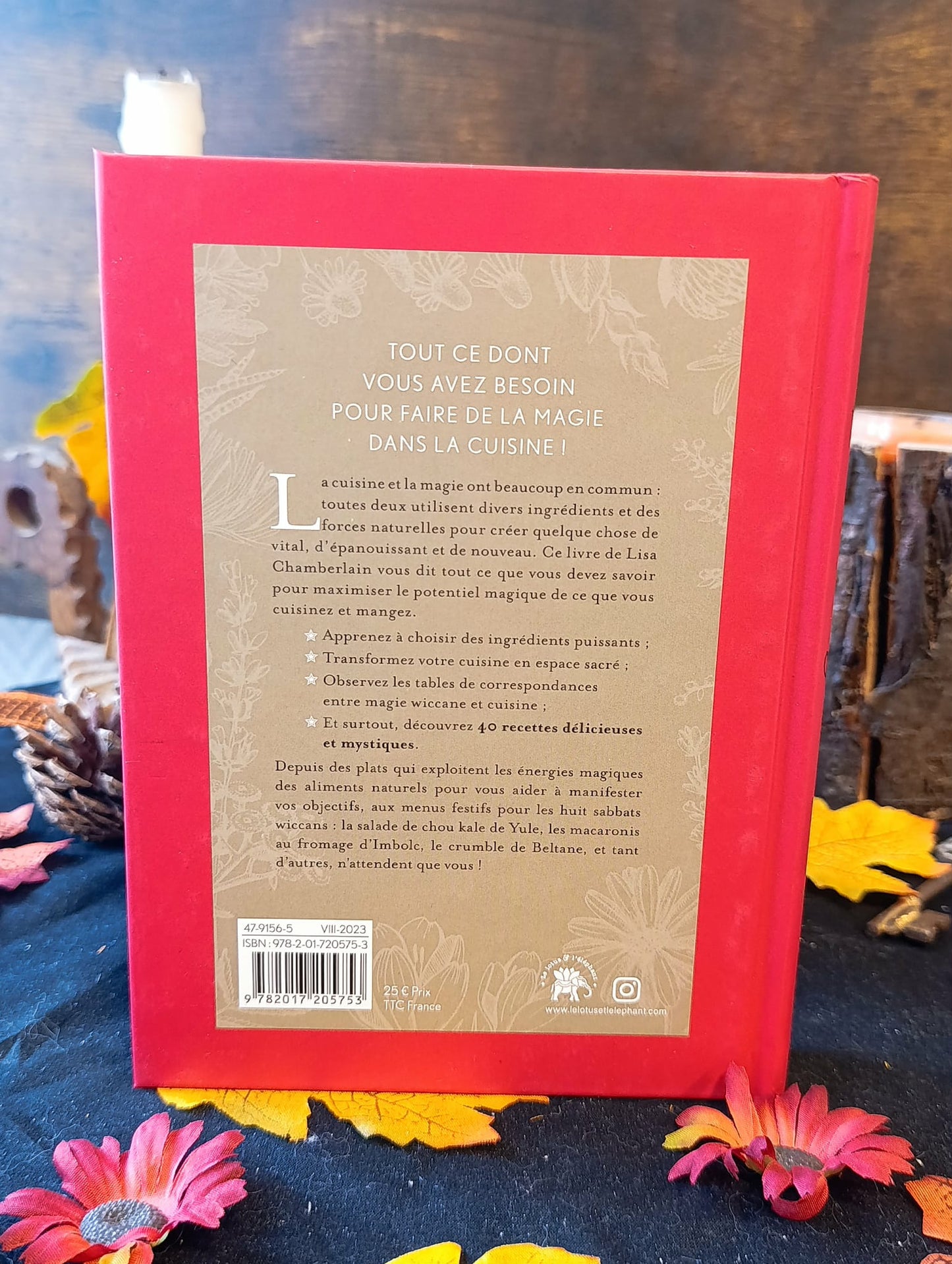 Cuisine Magique Le Guide Complet des Ingrédients et Recettes