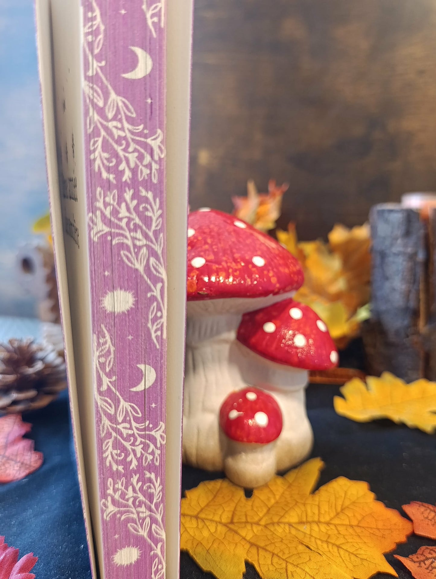 Une année de sorcière