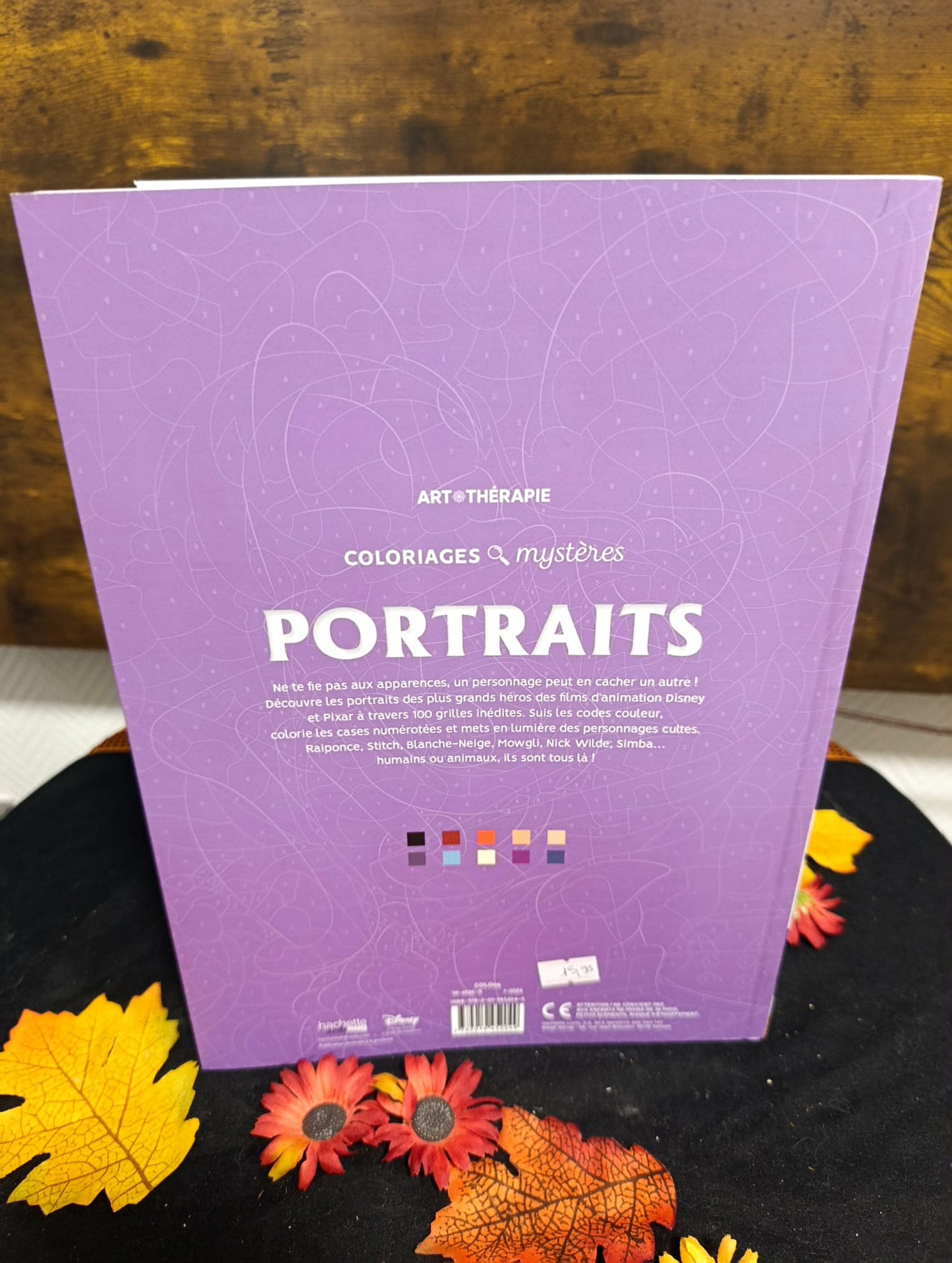 Portraits Disney Coloriages mystères