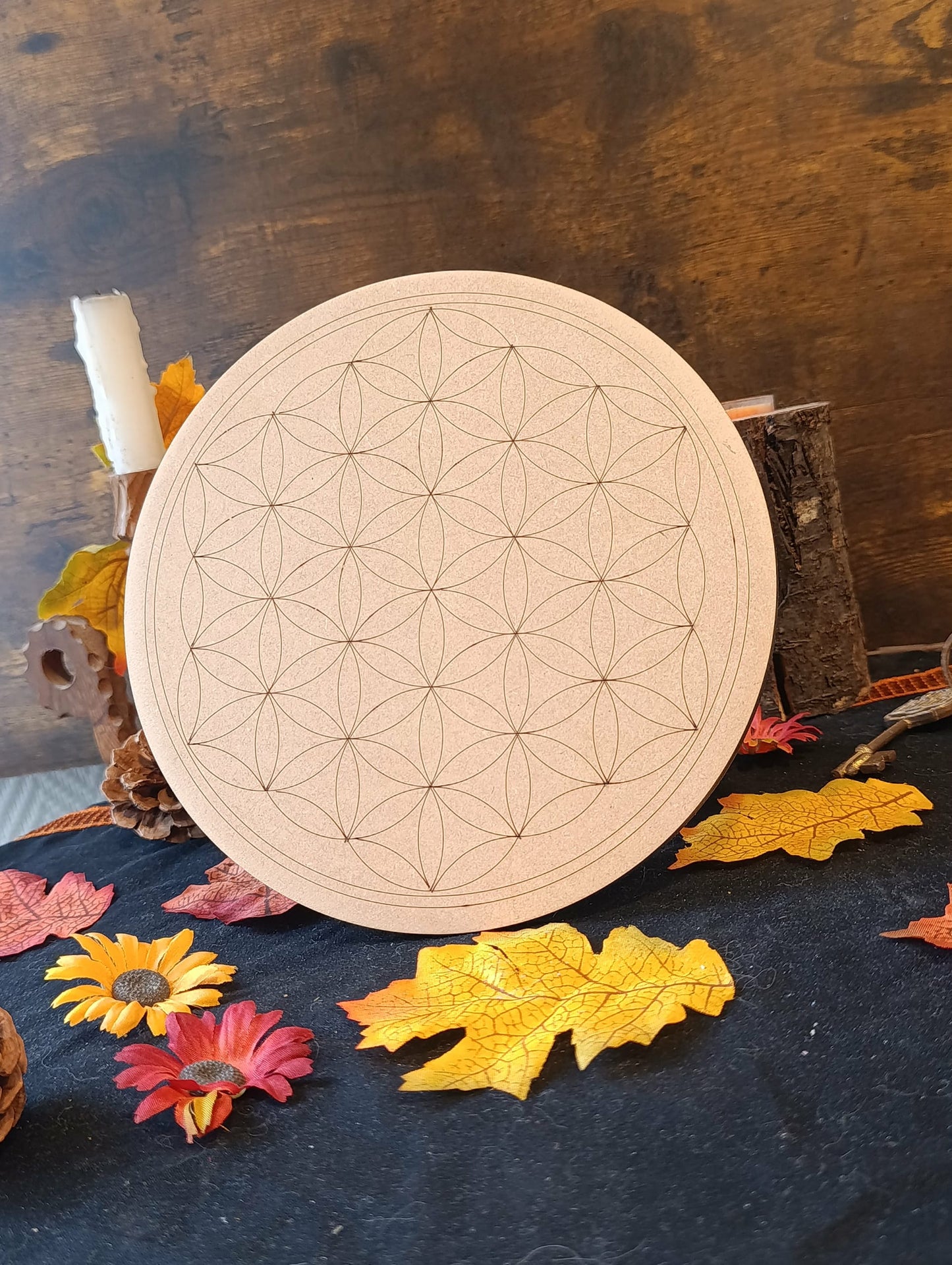 planche fleur de vie pleine