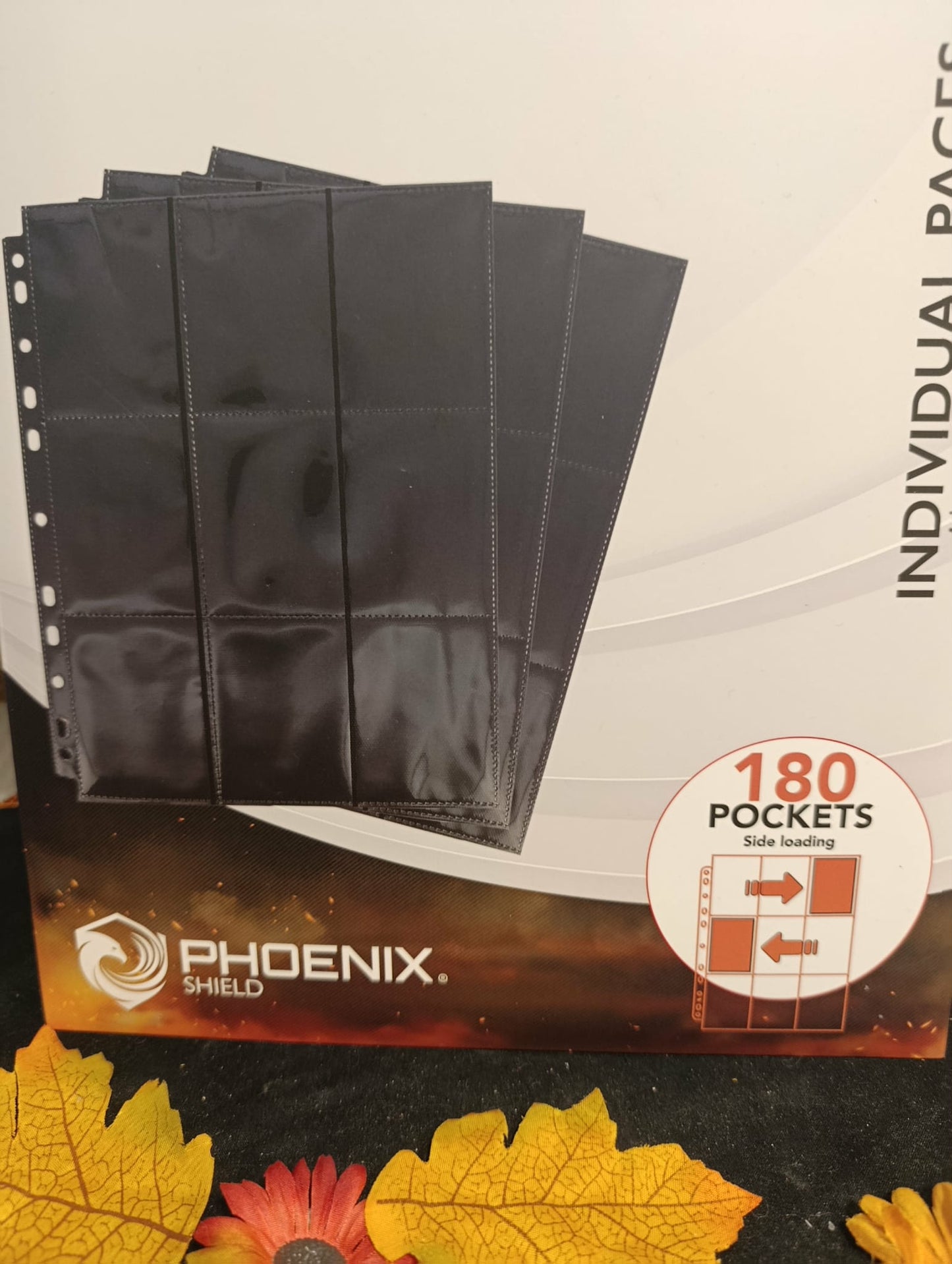 10 Pages classeur 180 cartes