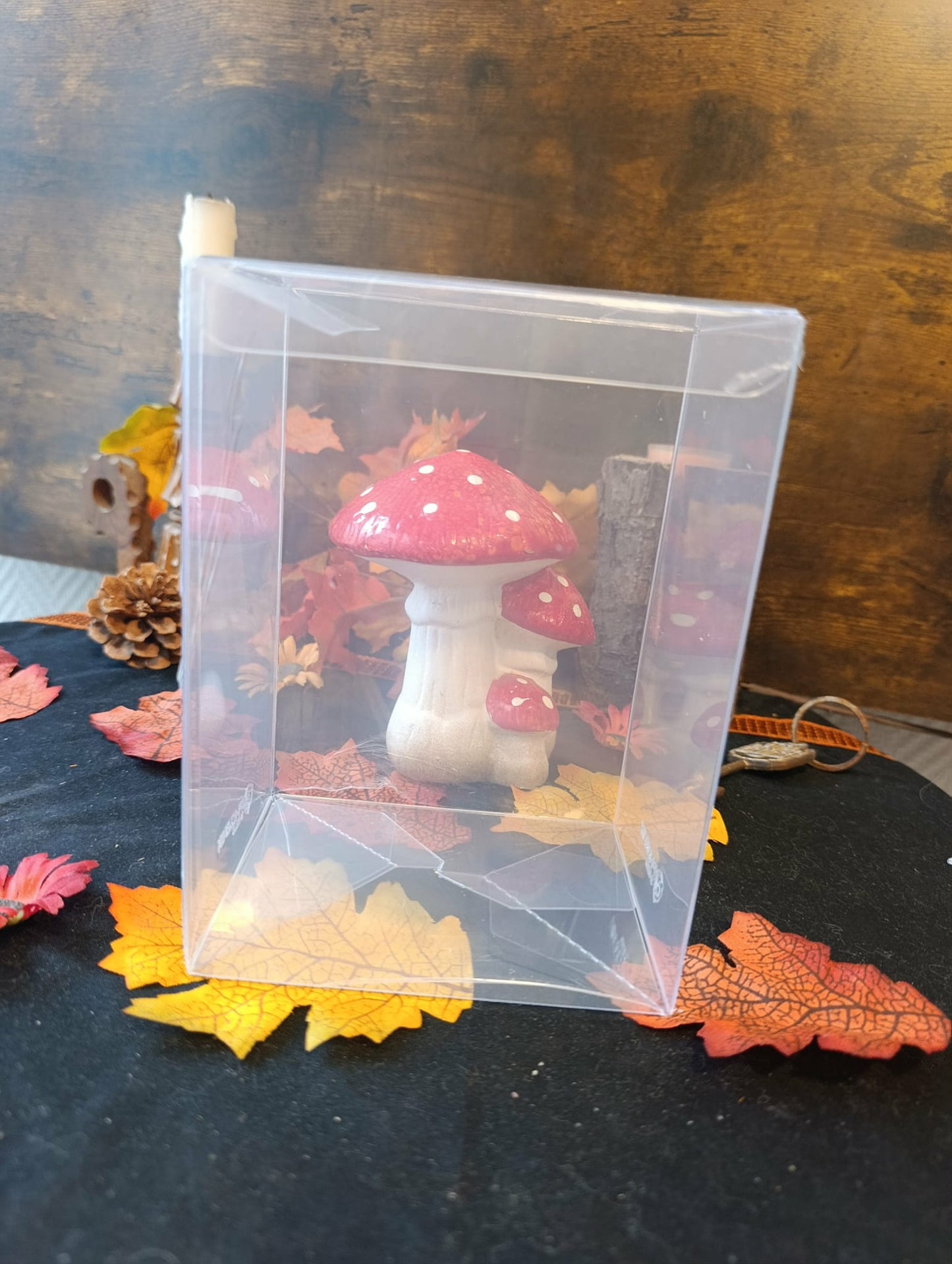 Protection Funko pop