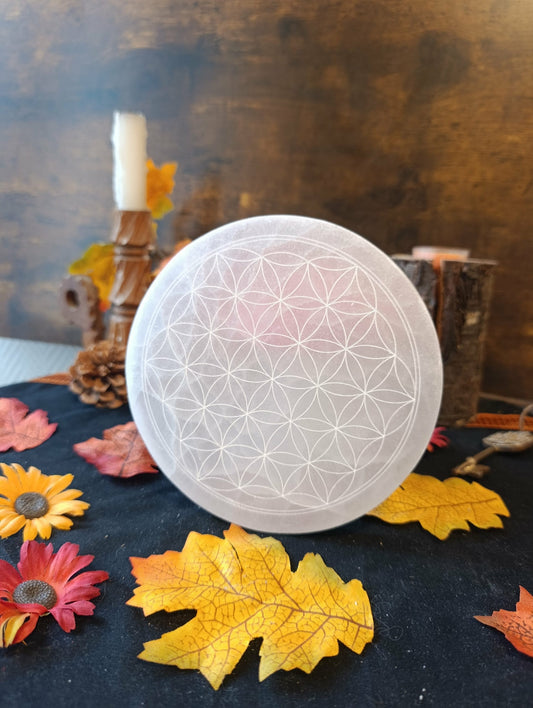 planche fleur de vie pleine sélénite