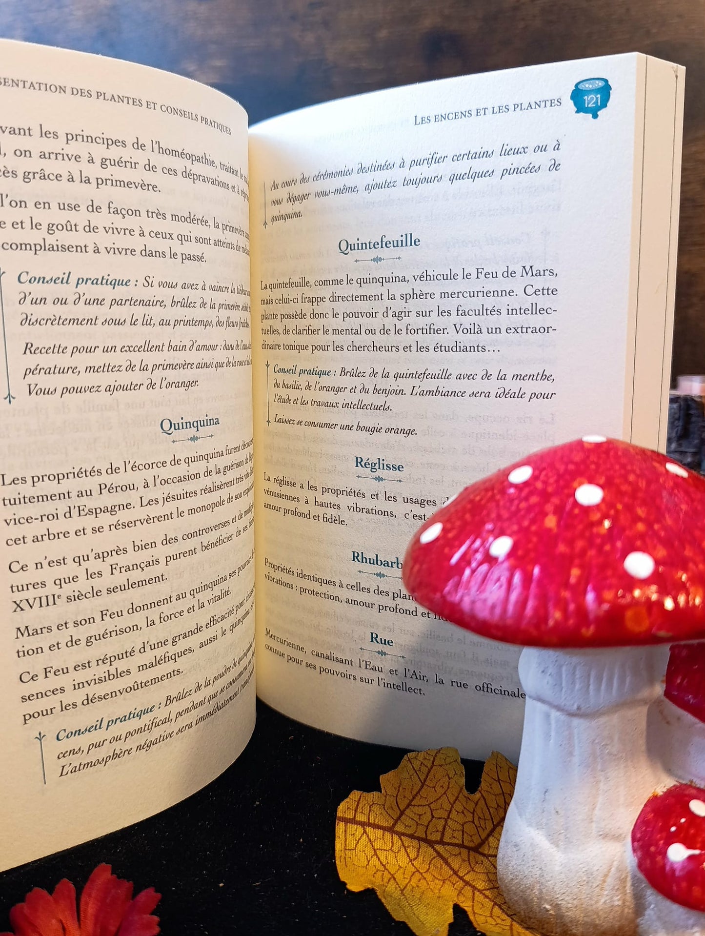 De l’Usage des Herbes, Poudres et Encens en Magie