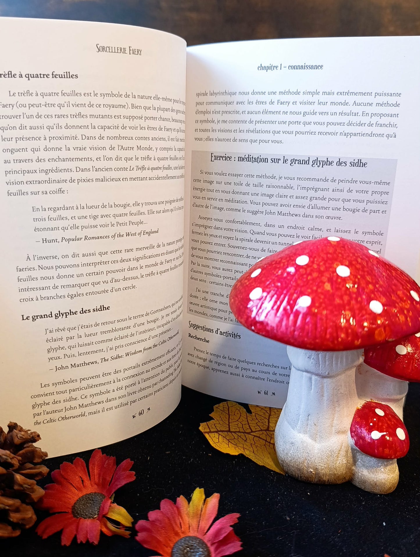 Sorcellerie Fairy à la découverte du monde féerique