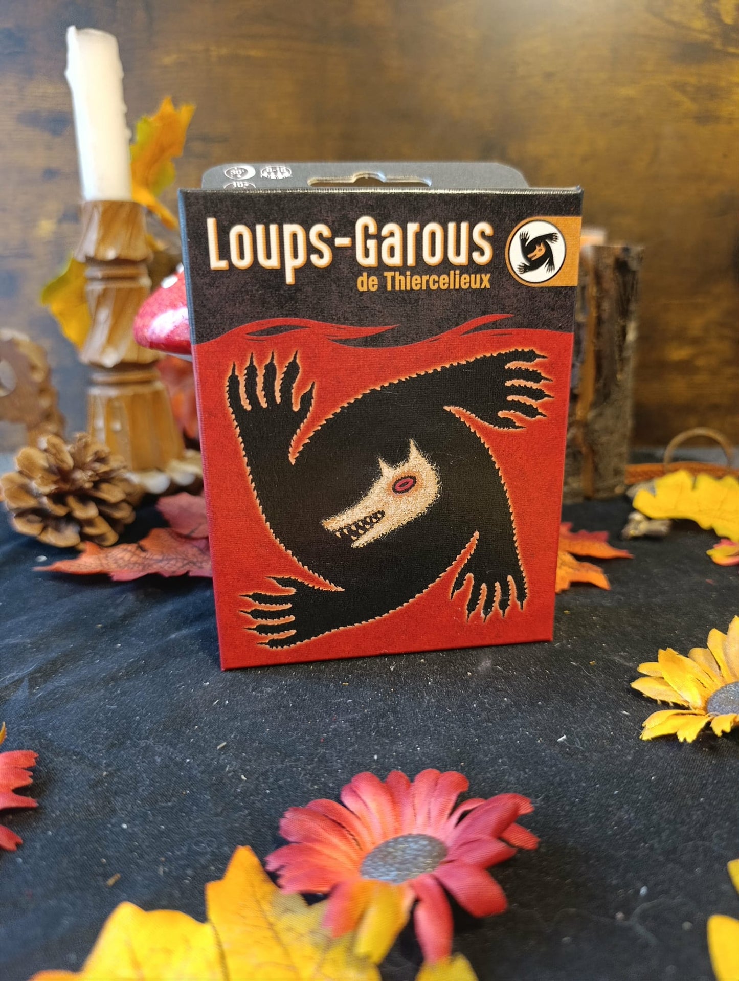 Jeu Loup Garou de Thiercelieux