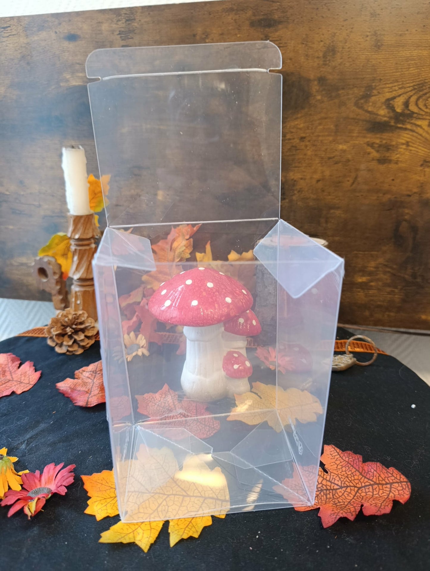 Protection Funko pop