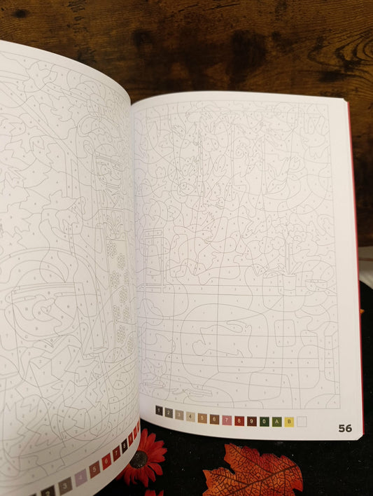 Le Japon Coloriages mystères