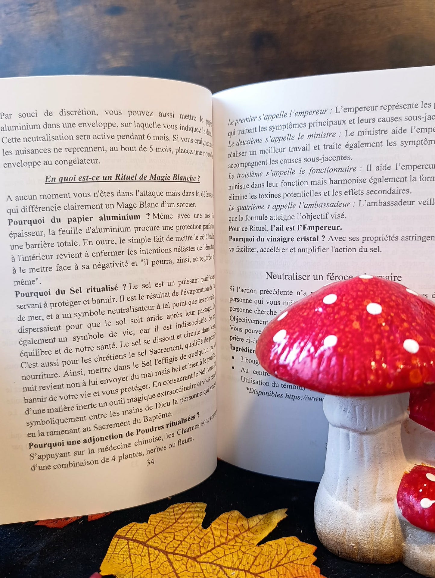 Magie blanche de protection grimoire secret