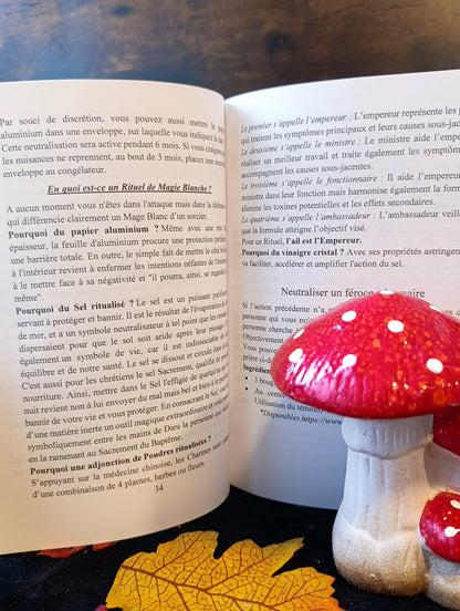 Magie blanche de protection grimoire secret