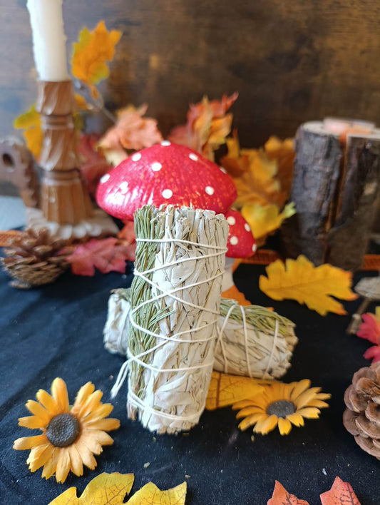 Bâton de fumigation Sauge Romarin