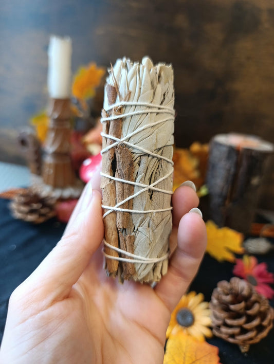 Bâton de fumigation Sauge Cannelle