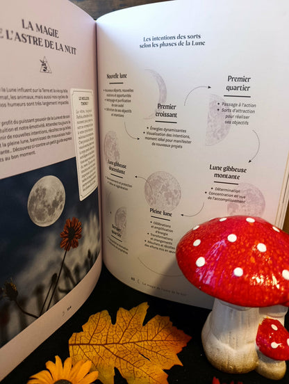 Les petits chaudrons d'Arlette Grimm