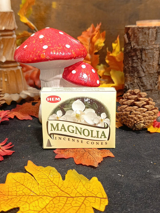 Hem Encens cône Magnolia