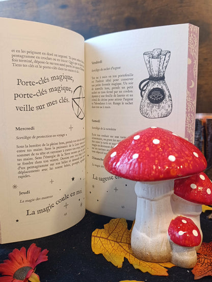 Une année de sorcière