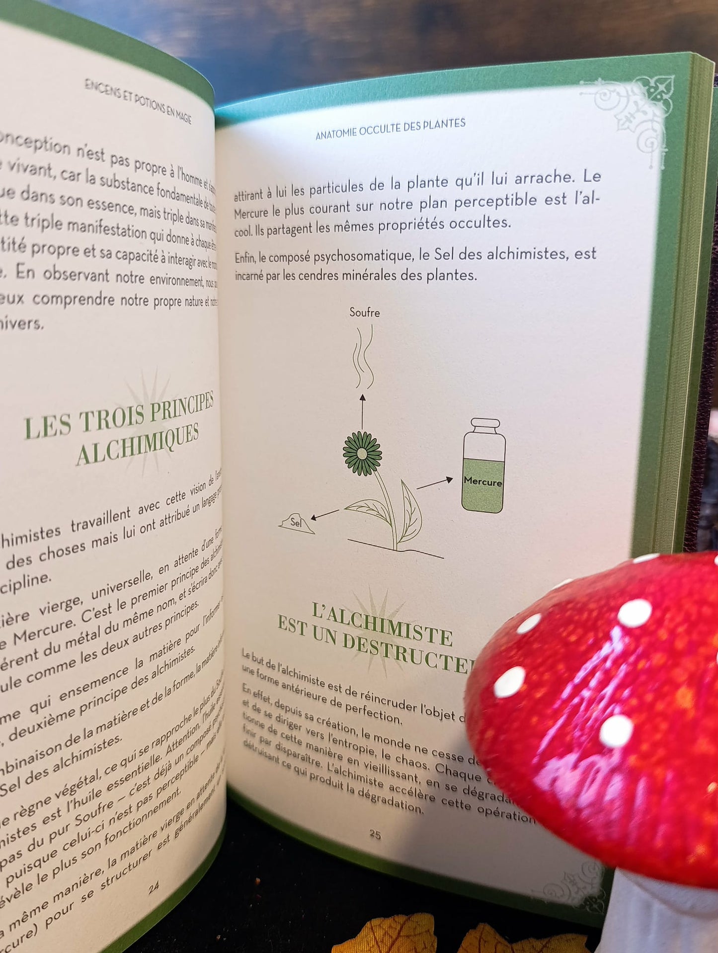 Encens et potions en magie