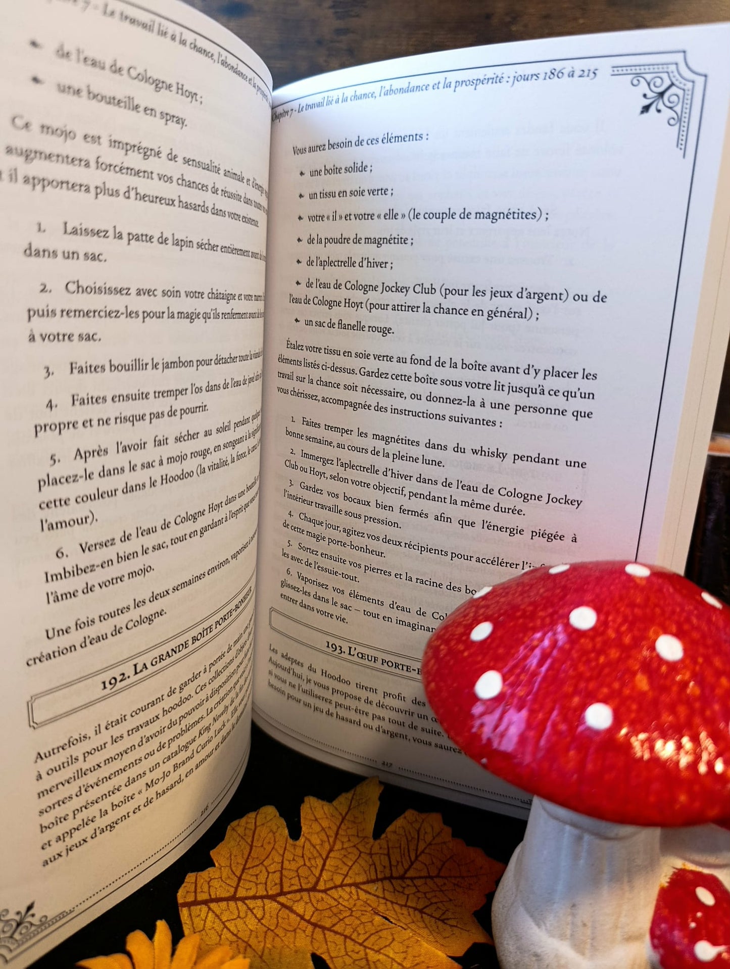 365 Jours Hoodoo Routine Initiatique au Rootwork