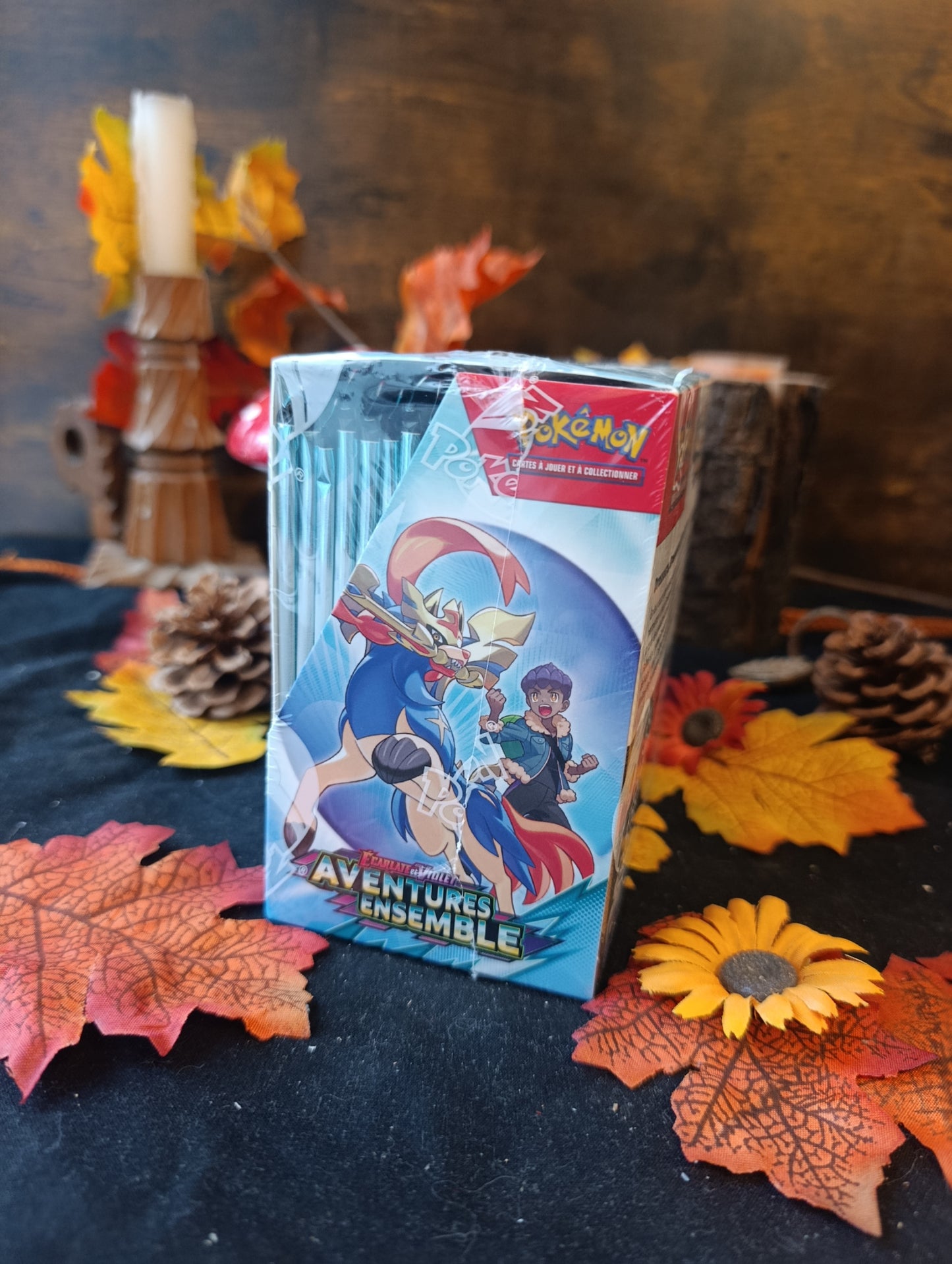 Display EV09 aventures ensemble