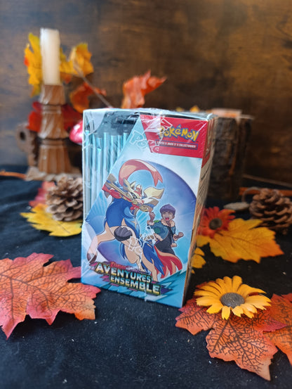 Display EV09 aventures ensemble