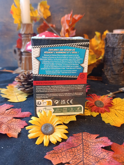 Bundle EV10.5 foudre noire