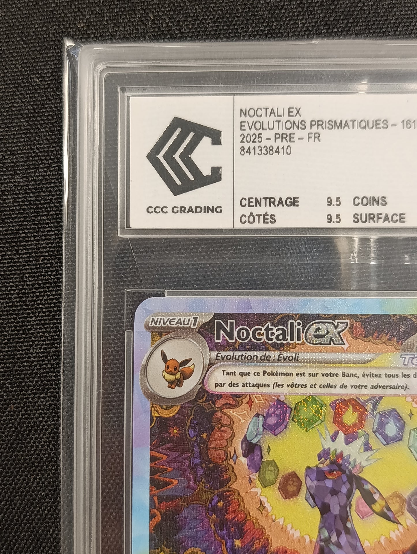 Noctali gradée CCC 9.5