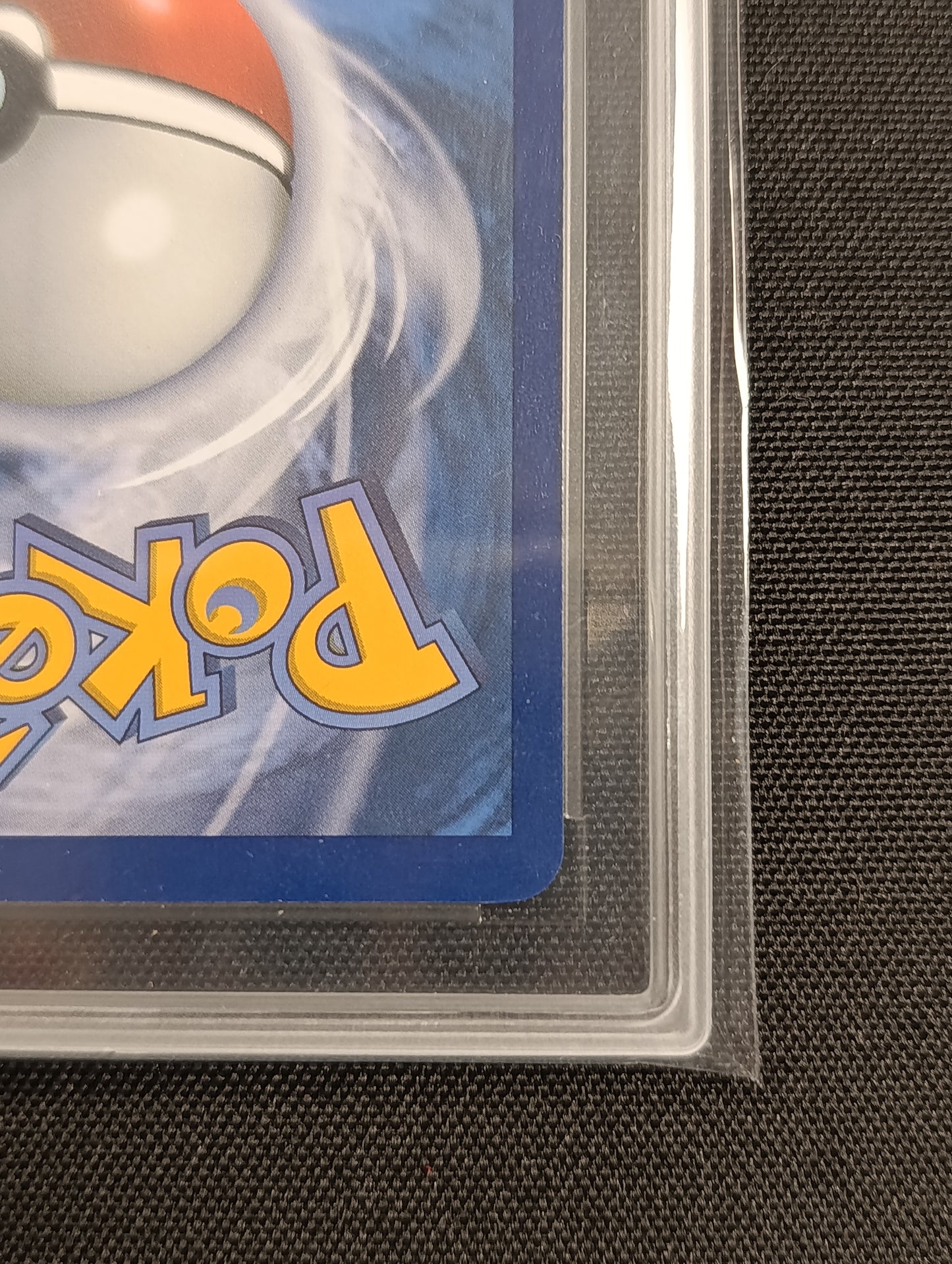 Noctali gradée CCC 9.5