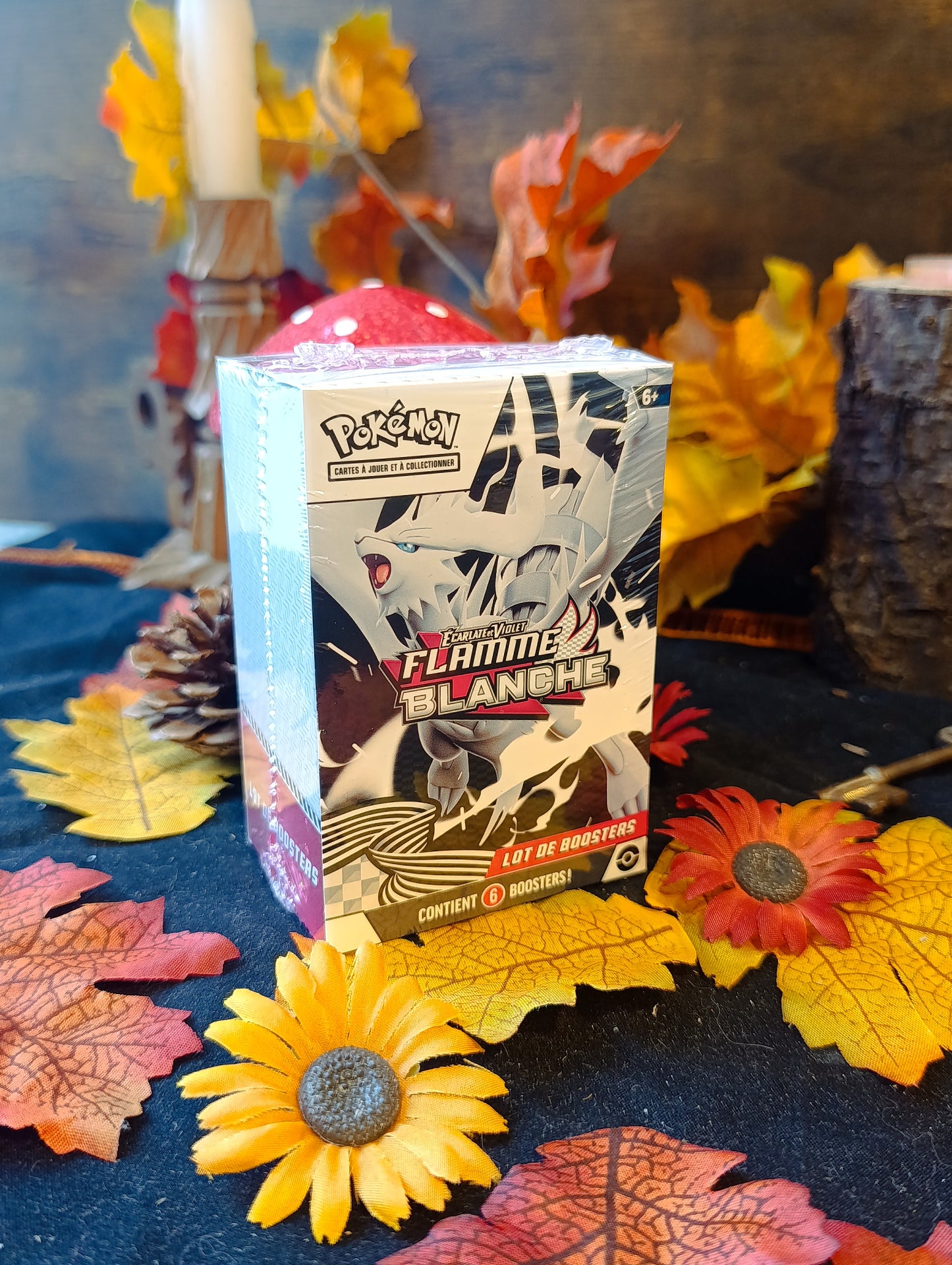 Bundle EV10.5 flamme blanche